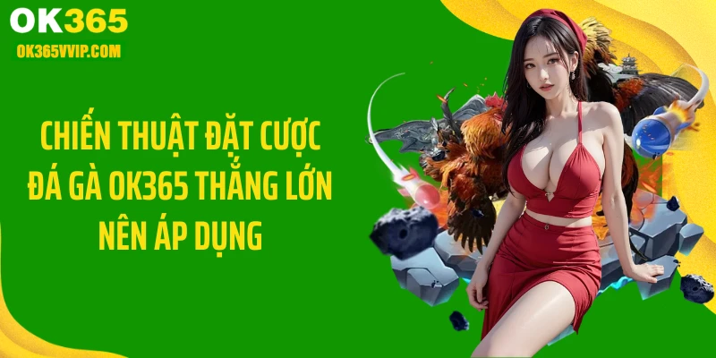 Chiến thuật đặt cược đá gà OK365 thắng lớn nên áp dụng