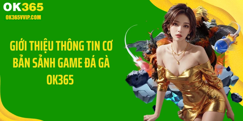 Giới thiệu thông tin cơ bản sảnh game đá gà OK365